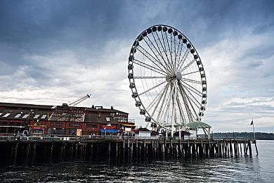 《宝可梦：朱＆紫》新7星太晶团战预告：火焰鸡